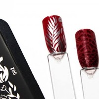 Curali- 002 Botanical - Thumbnail 2