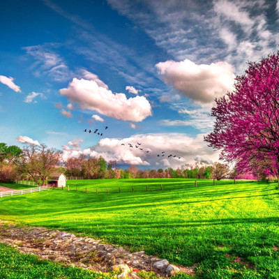 Scented wax melts - wax melt cups - wax melt - wax tart - wax scent shot - candle melts - wax melt sampler - soy tarts