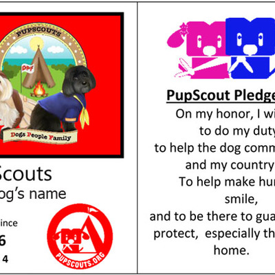 Additional/new id card