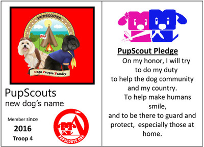 Additional/new id card