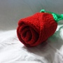 Rose -1