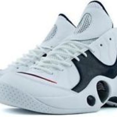 Nike air zoom flight 95 (jason kidd)