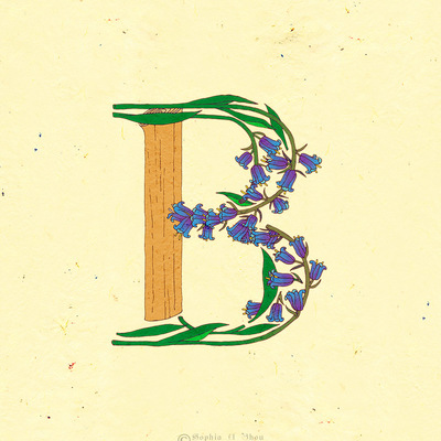 Le jardin de adalaine: b - Thumbnail 1