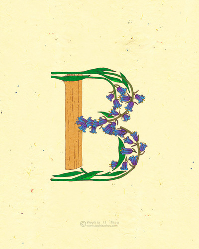 Le Jardin de Adalaine: B