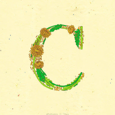 Le jardin de adalaine: c