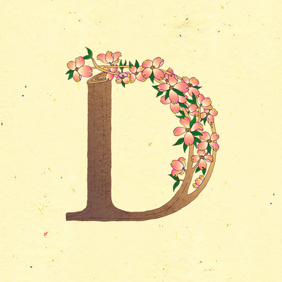 Le jardin de adalaine: d