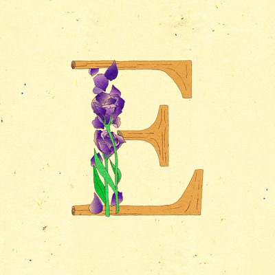 Le jardin de adalaine: e