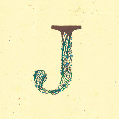 Le jardin de adalaine: j