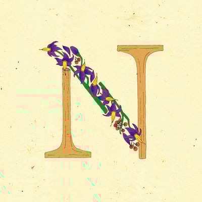 Le jardin de adalaine: n