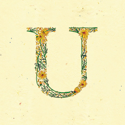 Le jardin de adalaine: u