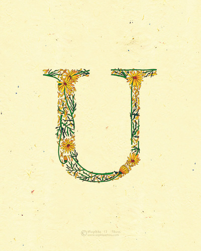 Le Jardin de Adalaine: U