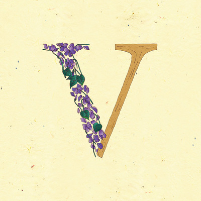 Le jardin de adalaine: v