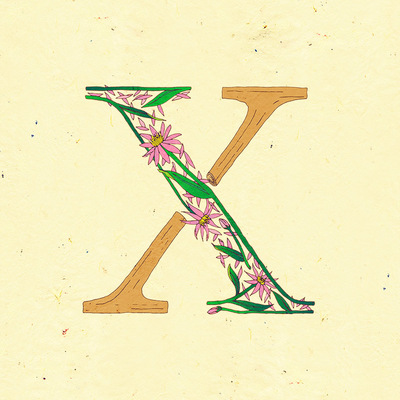 Le jardin de adalaine: x