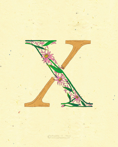 Le Jardin de Adalaine: X