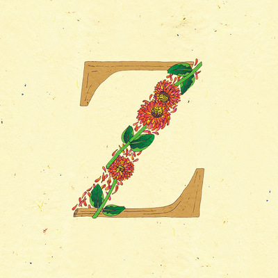 Le jardin de adalaine: z