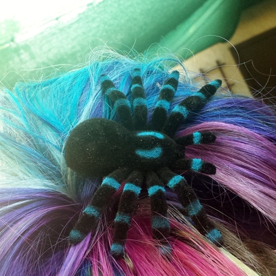 Daring jumping spider barrette