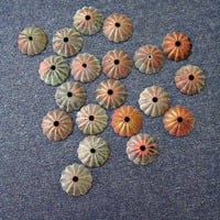Fluted Bead Caps, Green and Rust Hand Patinated, 20 pcs: Sea Urchin Caps - Thumbnail 1