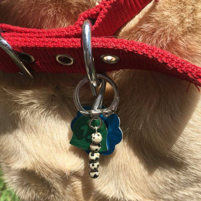 Dalmatian jasper collar charm - dog collar charm - gemstone dog collar charm - gemstone pet collar charm - pet collar jewelry - pet collar