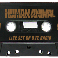 Live on BVZ Radio Cassette - Thumbnail 1