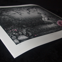 Beaktande en ros - Giclee Fine Art Print - Thumbnail 1