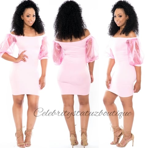 Pinky Mesh Sleeves Dress