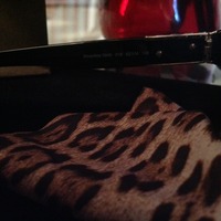 100% Authentic Roberto Cavalli Sunglasses - Thumbnail 3