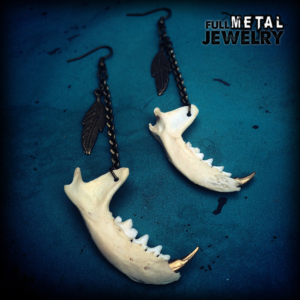 Mink Jaw Bone with Gold Tooth 