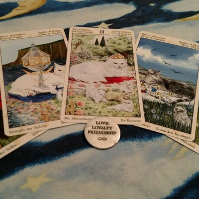 Mama bear - Thumbnail 5