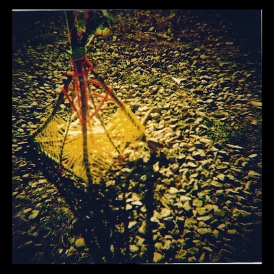 Hoguerita de colores