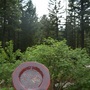 Flower Of Life Decorative Plate-1