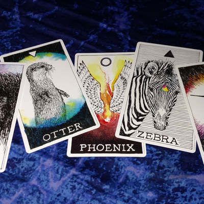 Guide animal - Thumbnail 3