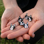 Boston Terrier Enamel Lapel Pin / Pin Badge -2