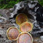 Flower Of Life Platters; Set of 3-1