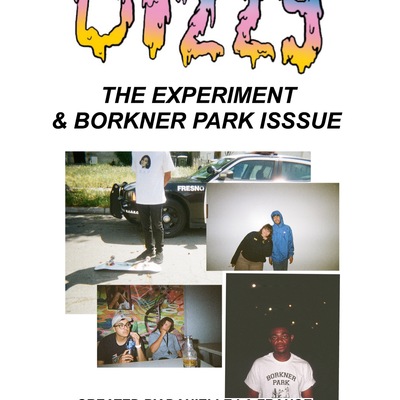 Experiment and borkner park dizzy zine