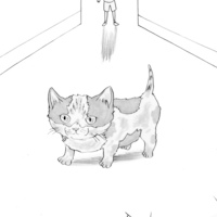 The Catalogue (Vol. 1) - Thumbnail 2