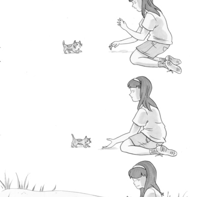 The catalogue (vol. 1)