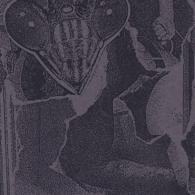 Whiteswan 'to the point of exhaustion' c-40 - Thumbnail 4