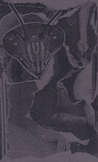 Whiteswan 'To The Point Of Exhaustion' C-40