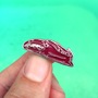 Crab Claw Pin-1