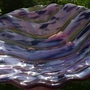 Coral Bowl-1