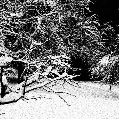 Maurizio bianchi (m.b.) 'hibernum' cd - Thumbnail 5