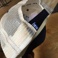 1876 | The Standard - Thumbnail 1