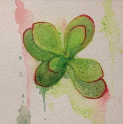 Teeny Jade Succulent 