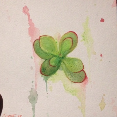 Teeny jade succulent 