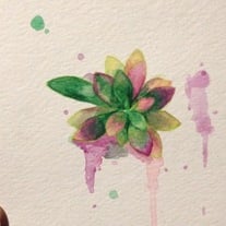 Teeny Mimicry Succulent