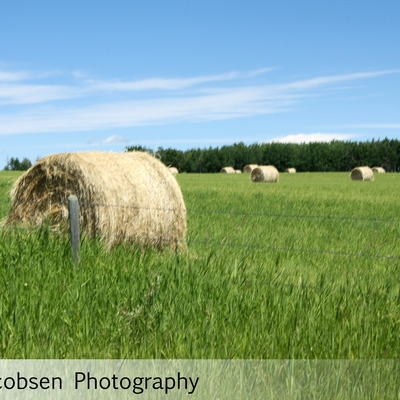 Prairie produce 5x7