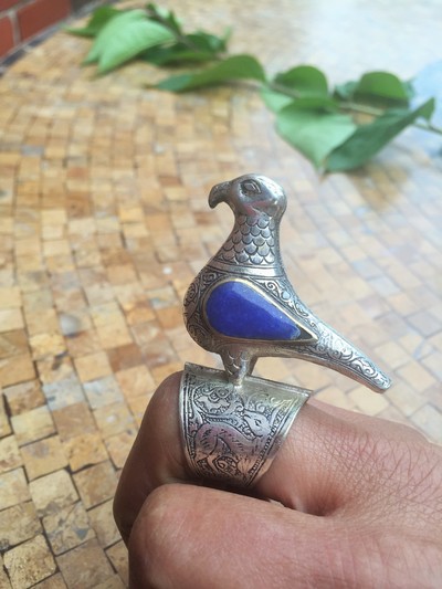 Bird Ring