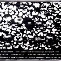 Skullwall "Suffocation" CDr - Thumbnail 1