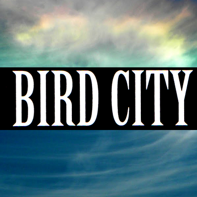Bird city vinyl sticker