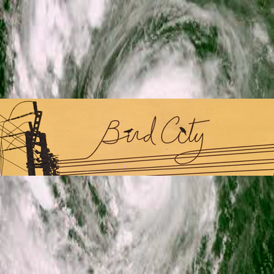 Bird city classic yellow telephone wire sticker